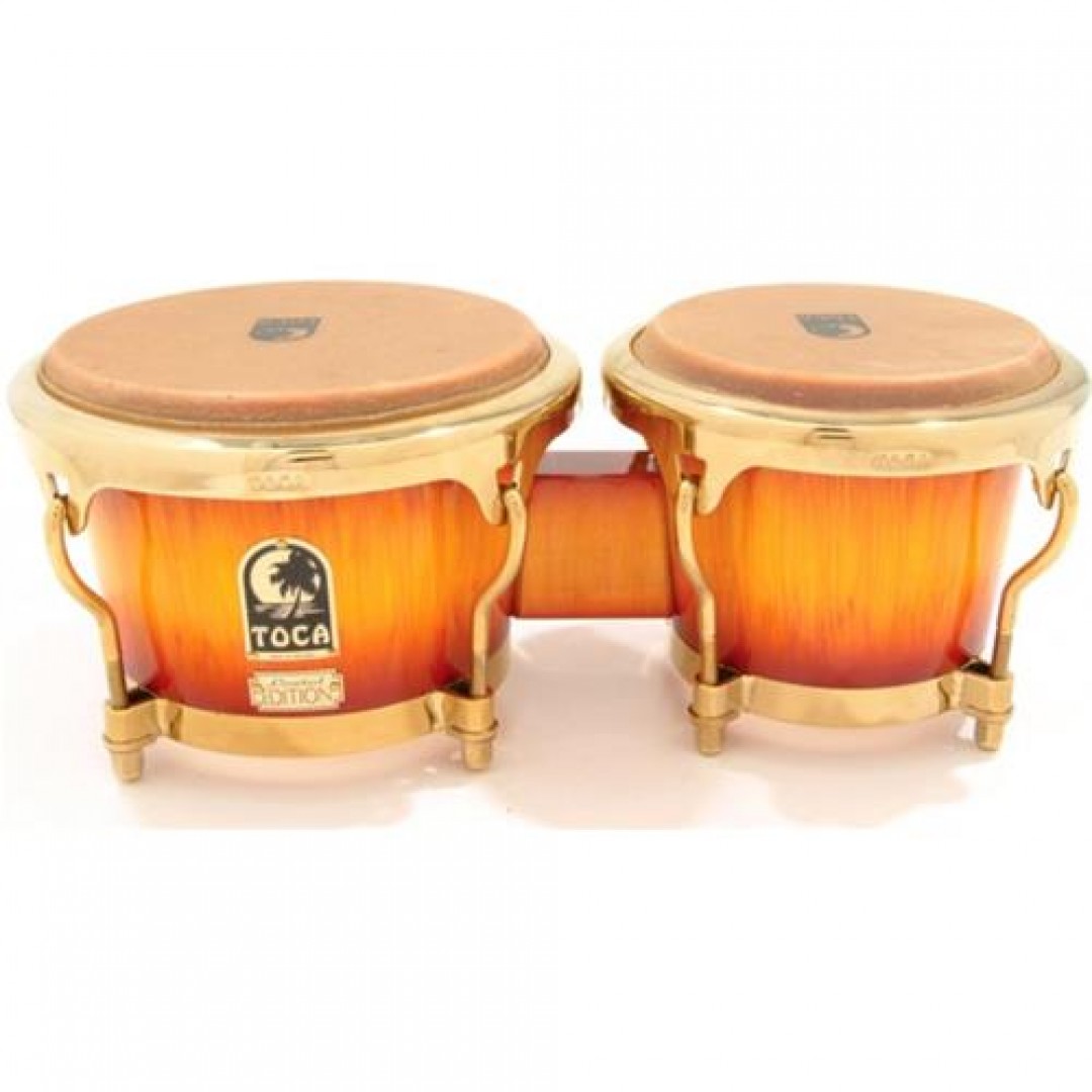 Toca 4801 BM EDITION LIMITED BURNISHED MAPLE Bongo