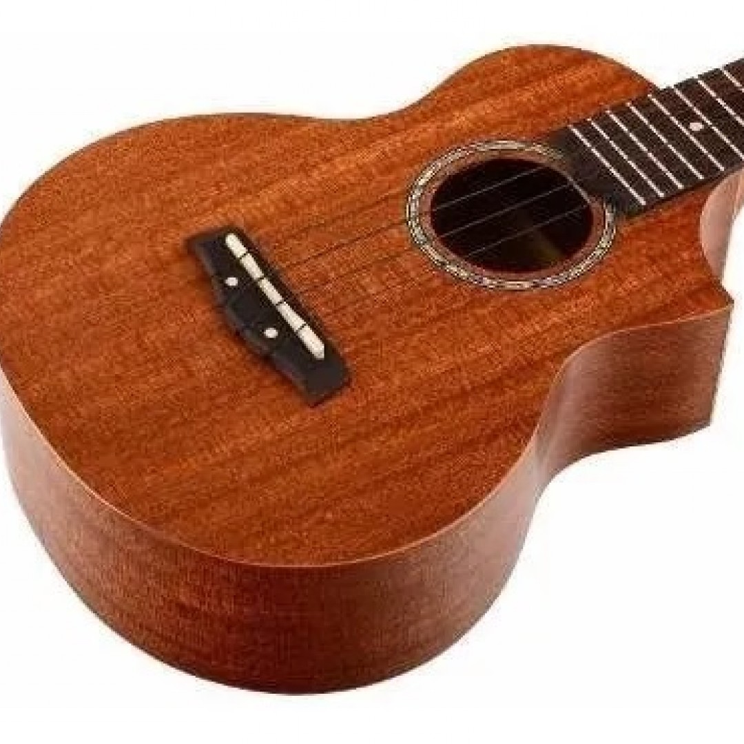 -ibanez-uew5opn-ukelele-concierto-3811