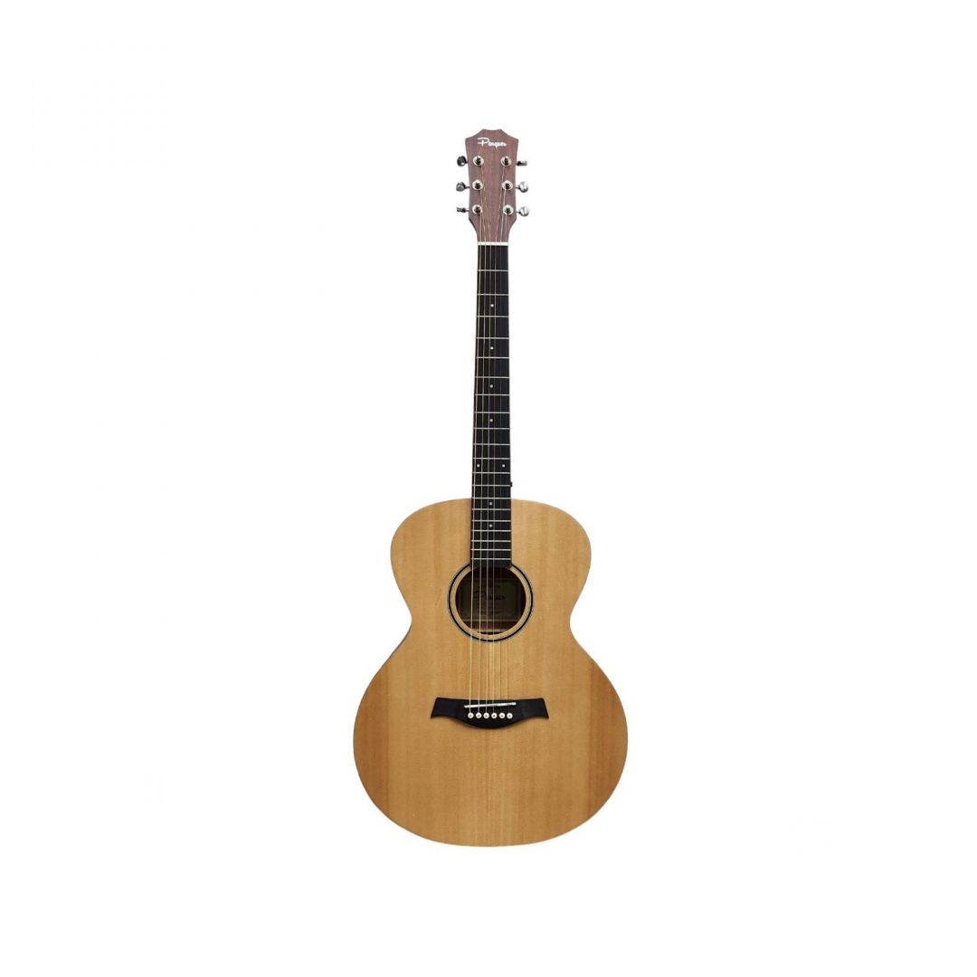 parquer-ga450bzf-guitarra-acustica-tipo-taylor-4443