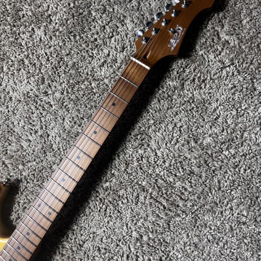 jet-guitars-js300-gd-guitarra-electrica-stratocaster-sss-4854