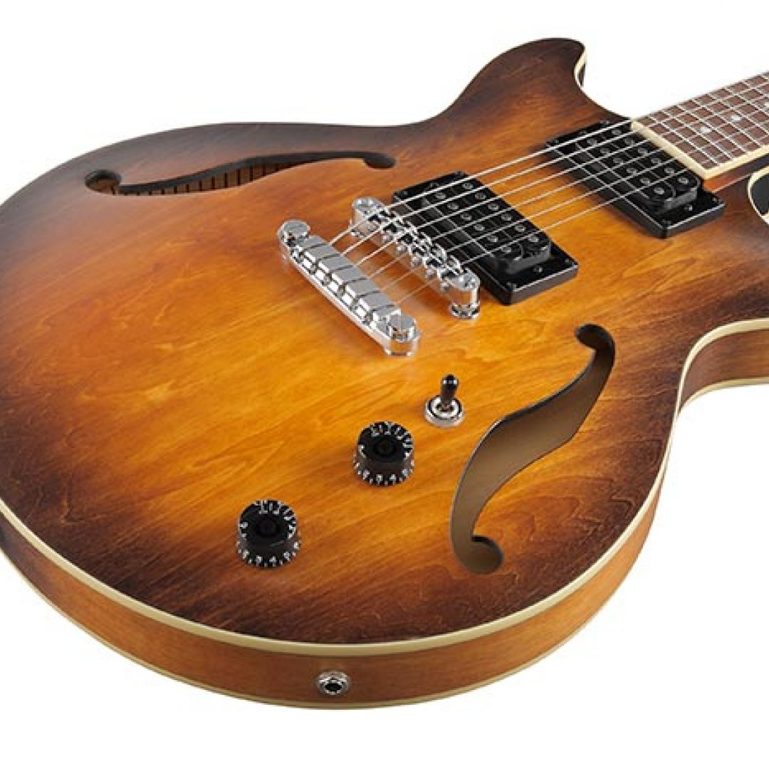 ibanez-am53-tf-guitarra-electrica-4880