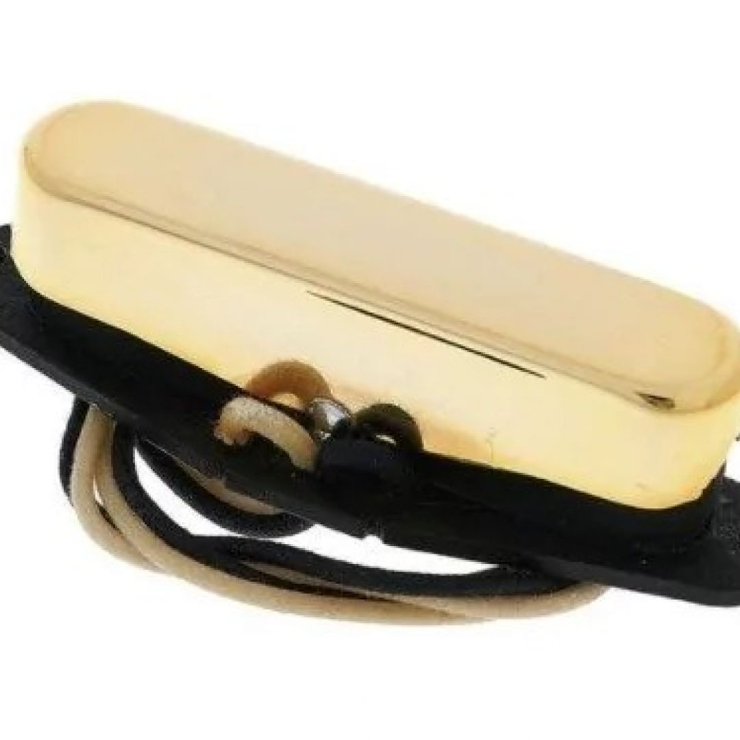 -suhr-mat-telecaster-neck-gold-microfono-5048